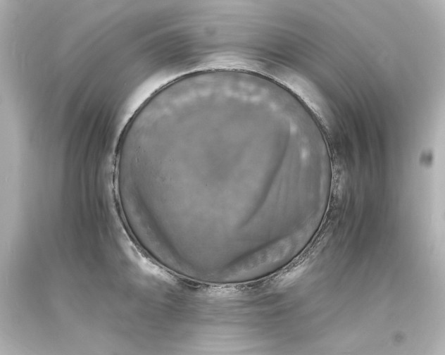 X0000094061094200711021440