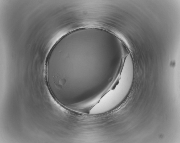 X0000094061095200711021440