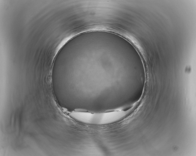 X0000094061097200711021440
