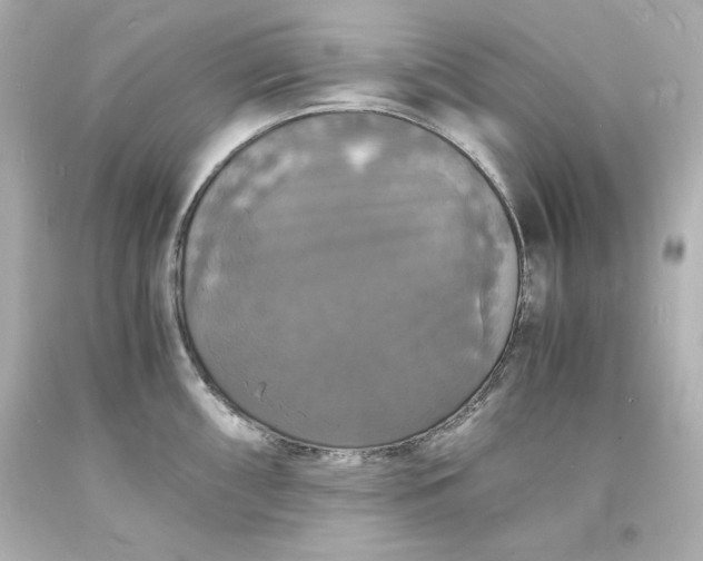 X0000094061098200711021440