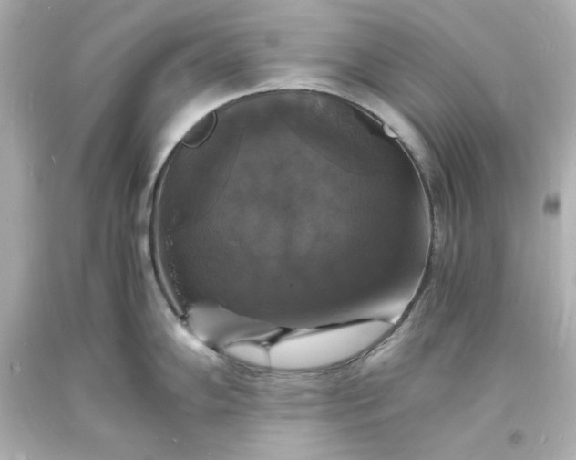 X0000094061102200711021440