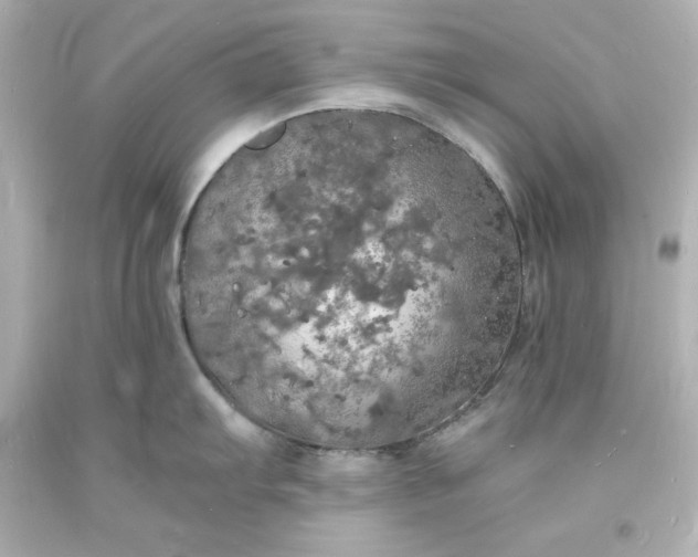 X0000094061103200711021440