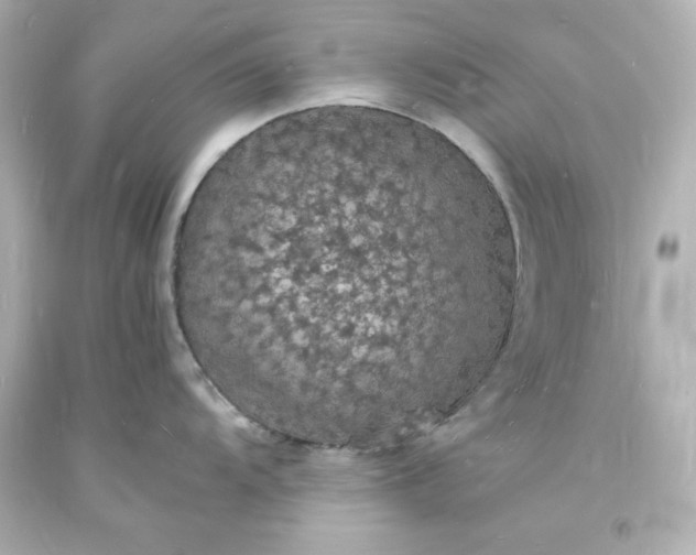 X0000094061104200711021440