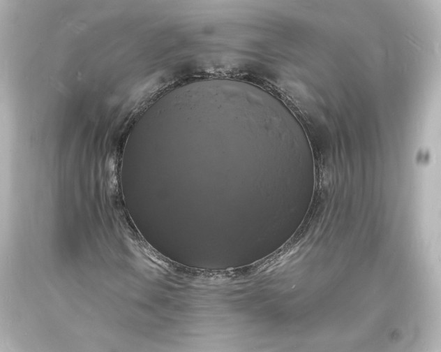 X0000094061106200711021439