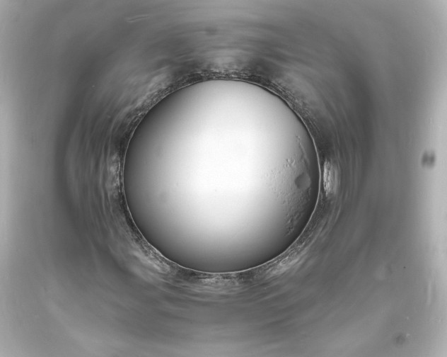X0000094061107200711021439