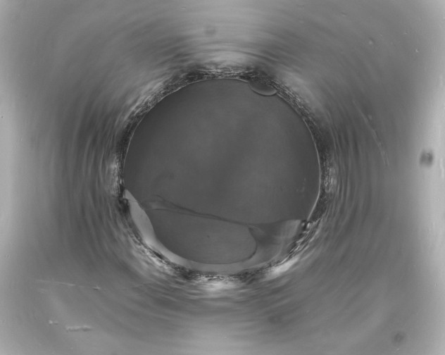 X0000094061108200711021439