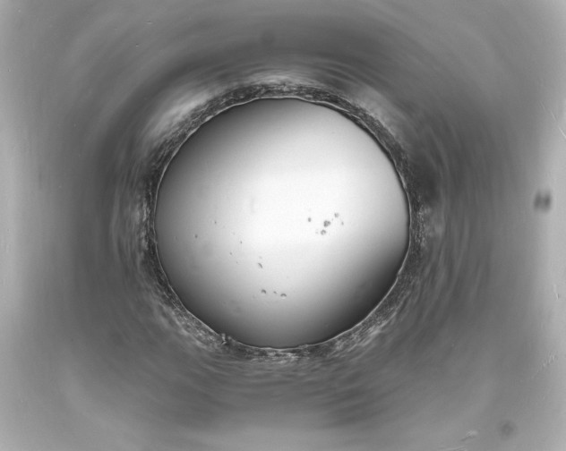 X0000094061111200711021439