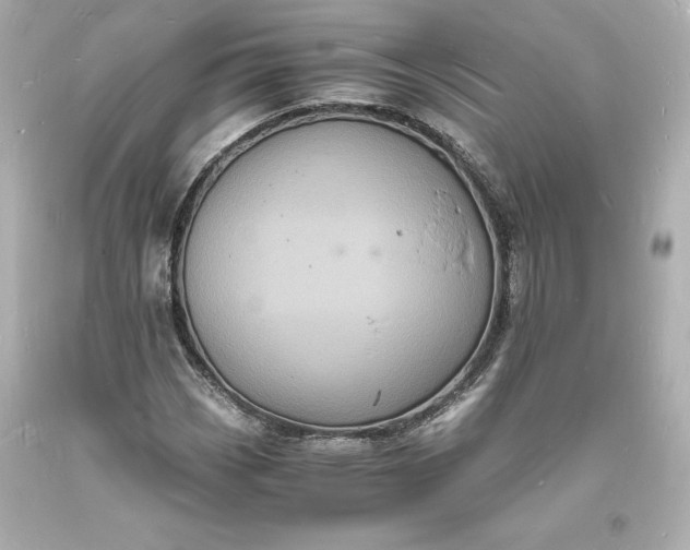 X0000094061113200711021439