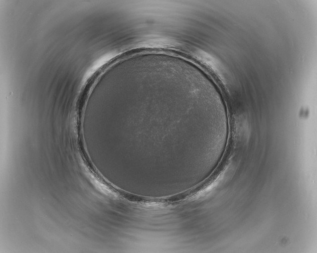 X0000094061114200711021439