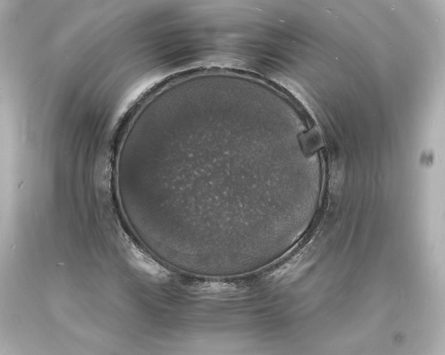 X0000094061115200711021439