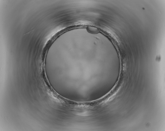 X0000094061117200711021439