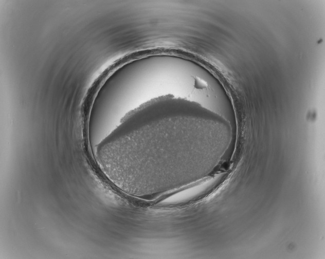 X0000094061118200711021439