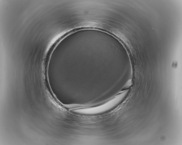 X0000094061120200711021439