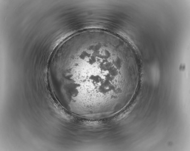 X0000094061121200711021439