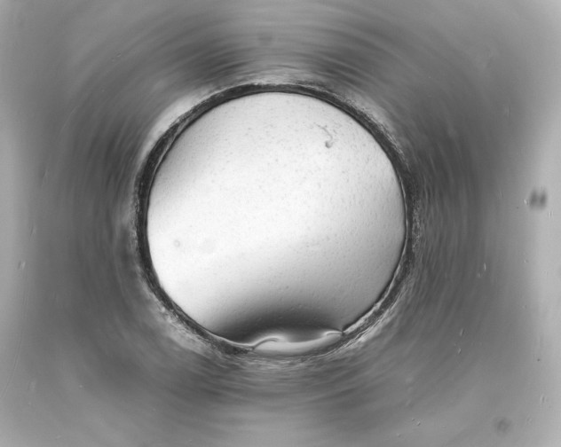 X0000094061122200711021439