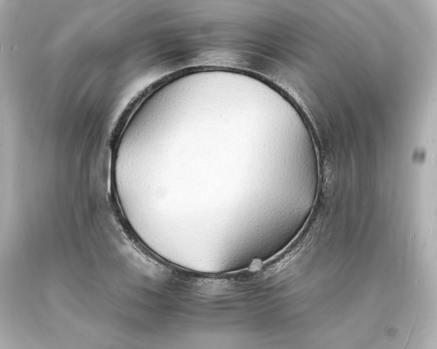 X0000094061123200711021439