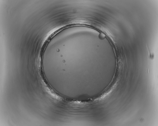 X0000094061125200711021439