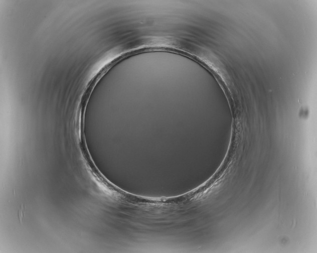 X0000094061127200711021439