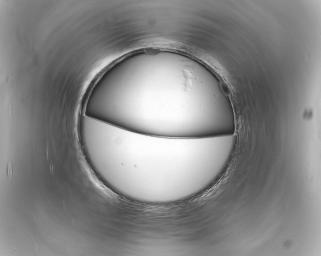 X0000094061128200711021439