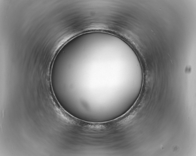 X0000094061129200711021439