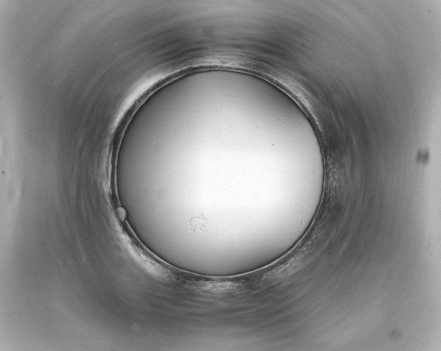 X0000094061131200711021439