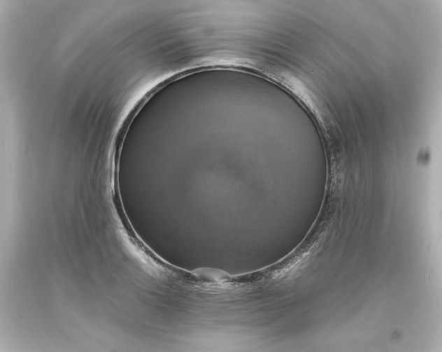 X0000094061132200711021439
