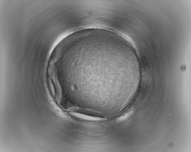 X0000094061138200711021439