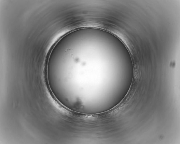 X0000094061139200711021439