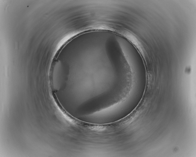 X0000094061141200711021439