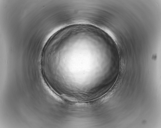 X0000094061142200711021439