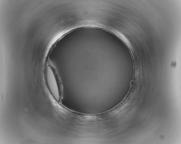 X0000094061144200711021439