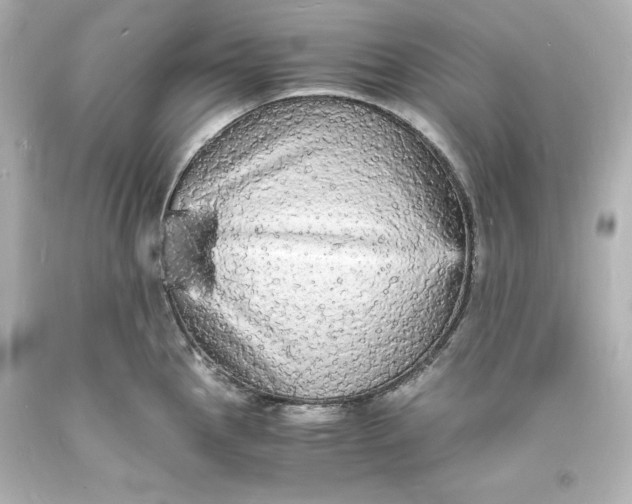 X0000094061145200711021439