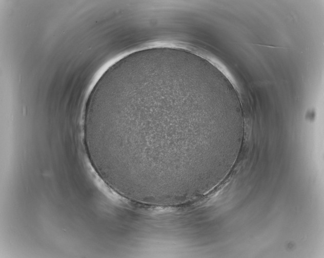 X0000094061148200711021439