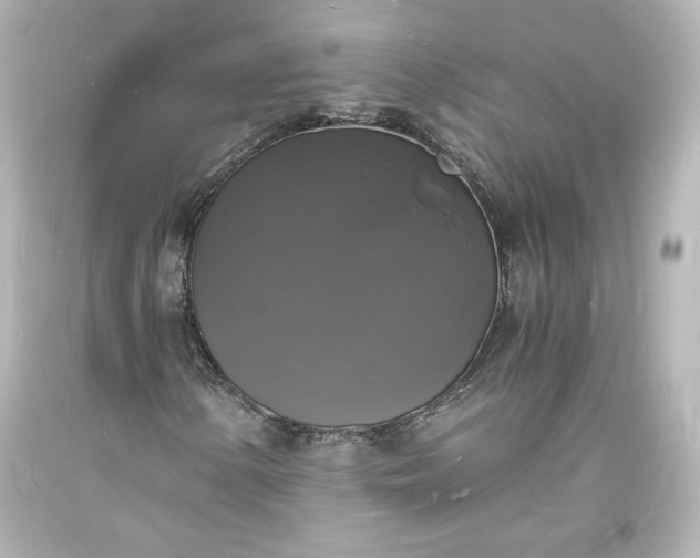 X0000094061154200711021438