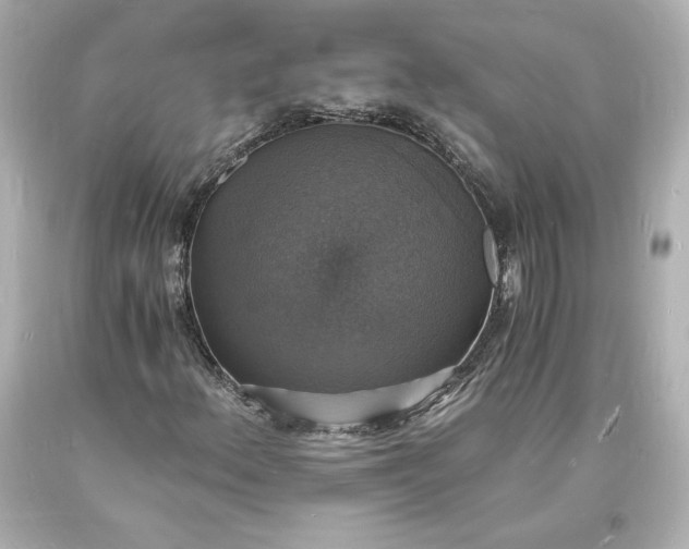 X0000094061156200711021438
