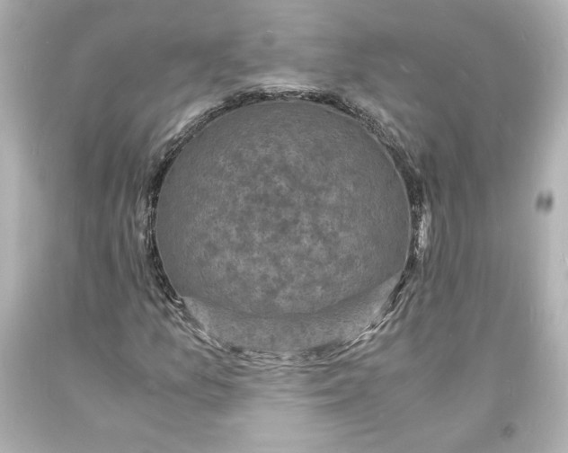 X0000094061157200711021438