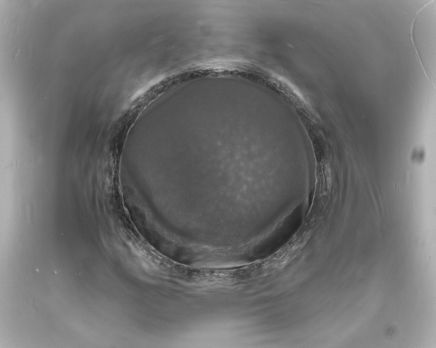 X0000094061158200711021438