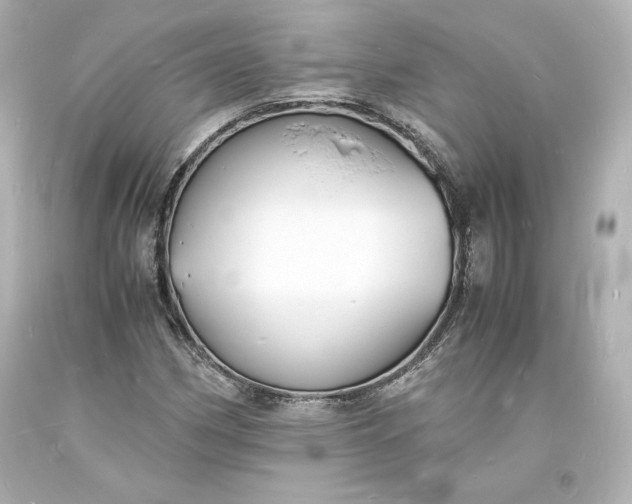 X0000094061162200711021438