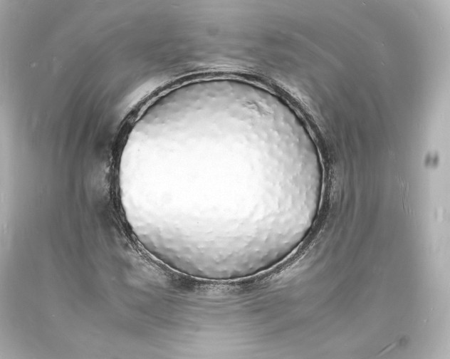 X0000094061163200711021438