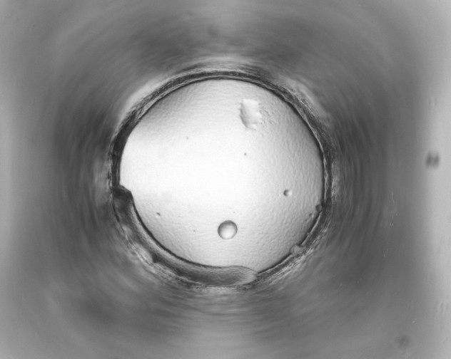 X0000094061164200711021438