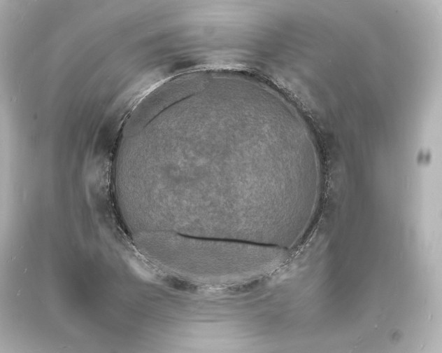 X0000094061169200711021438