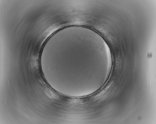 X0000094061170200711021438