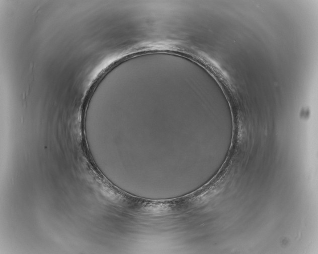 X0000094061174200711021438