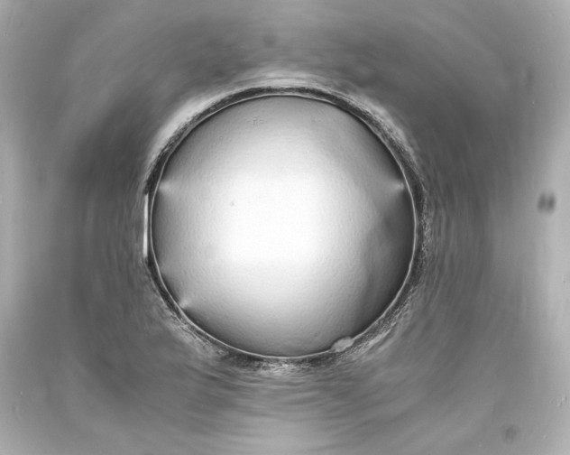 X0000094061175200711021438