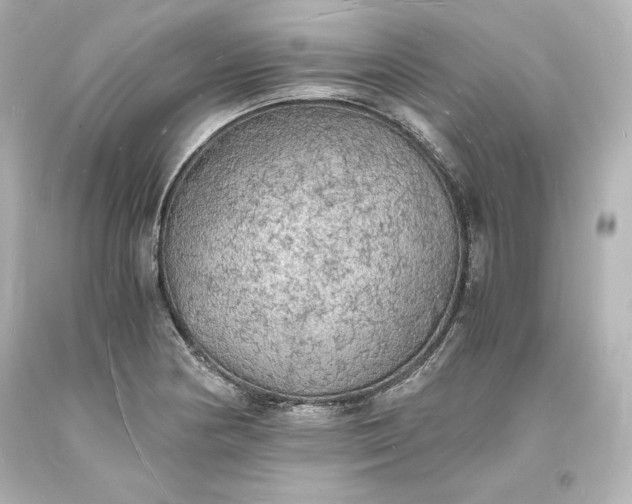 X0000094061178200711021438