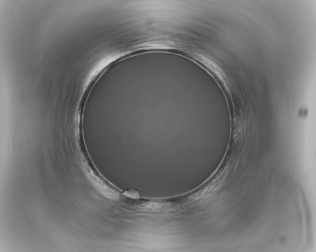 X0000094061179200711021438