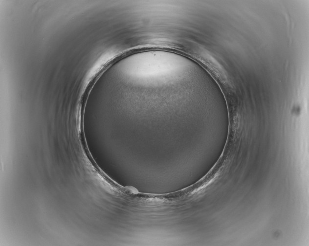 X0000094061180200711021438