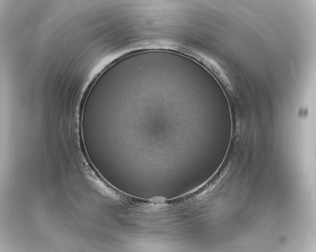 X0000094061184200711021438
