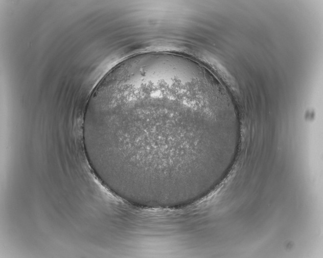 X0000094061185200711021438
