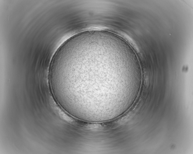 X0000094061186200711021438